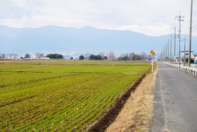 田舎の道路の画像