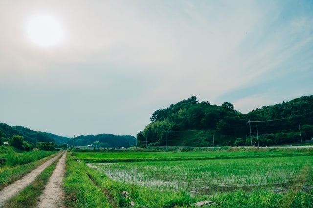 田舎の画像