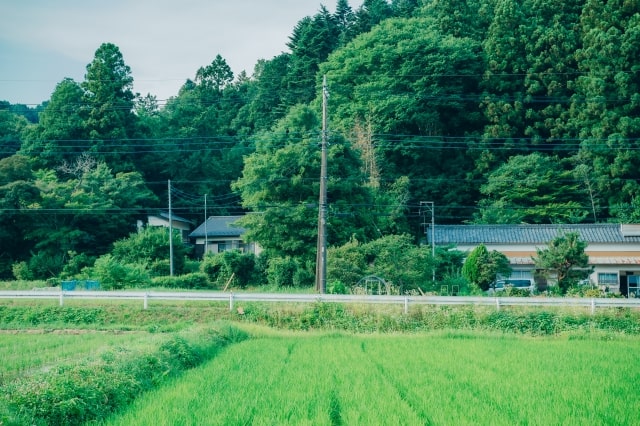 田舎の画像